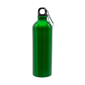 R08109.05 - Bidon stalowy Camino 800 ml, zielony 